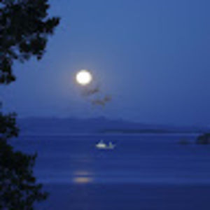 Meet your Posher, Taviana